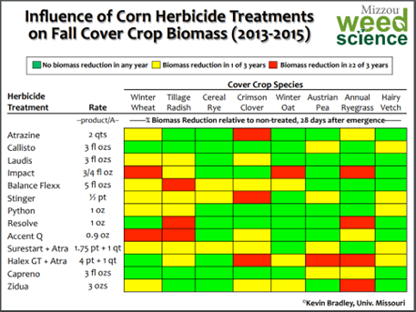 Effects of corn herbicides on fall cover crop 